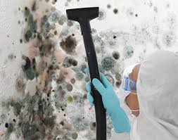 Mold Remediation for Vacation Homes